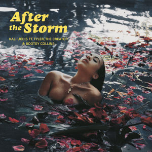 After_The_Storm_album_art